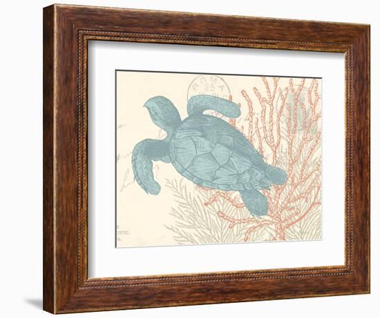 Sea Turtle-N. Harbick-Framed Premium Giclee Print