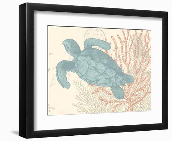 Sea Turtle-N. Harbick-Framed Premium Giclee Print