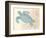 Sea Turtle-N. Harbick-Framed Premium Giclee Print