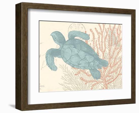 Sea Turtle-N. Harbick-Framed Art Print