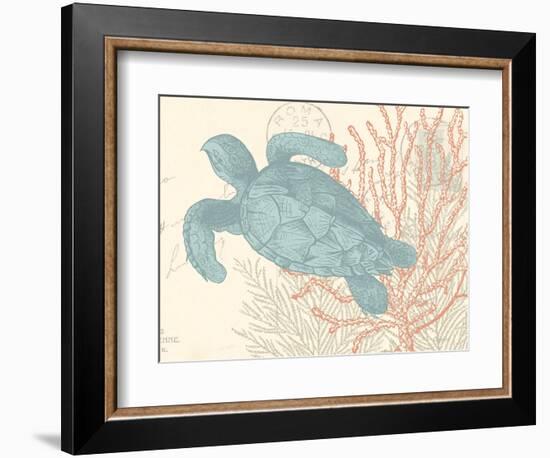 Sea Turtle-N. Harbick-Framed Art Print