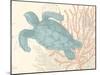 Sea Turtle-N. Harbick-Mounted Art Print