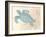 Sea Turtle-N. Harbick-Framed Art Print