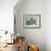 Sea Turtle-Karen Williams-Framed Giclee Print displayed on a wall