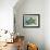 Sea Turtle-Karen Williams-Framed Giclee Print displayed on a wall