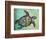 Sea Turtle-Karen Williams-Framed Giclee Print