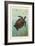 Sea Turtle-null-Framed Art Print