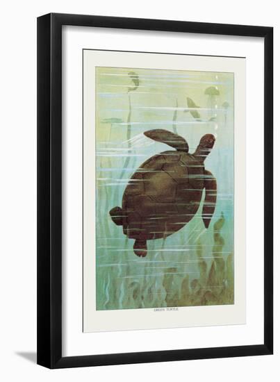 Sea Turtle-null-Framed Art Print