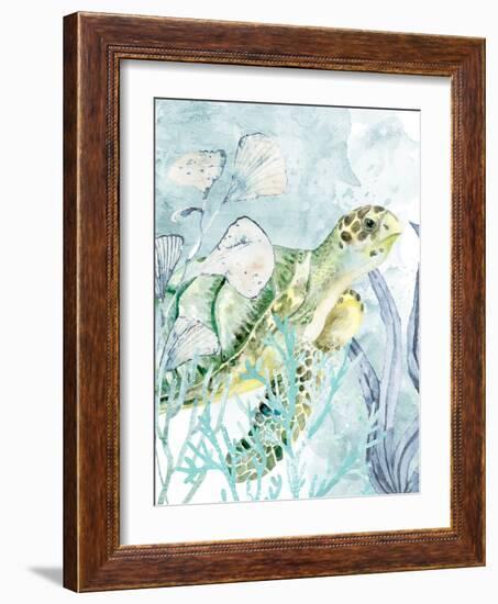 Sea Turtle-Kimberly Allen-Framed Art Print