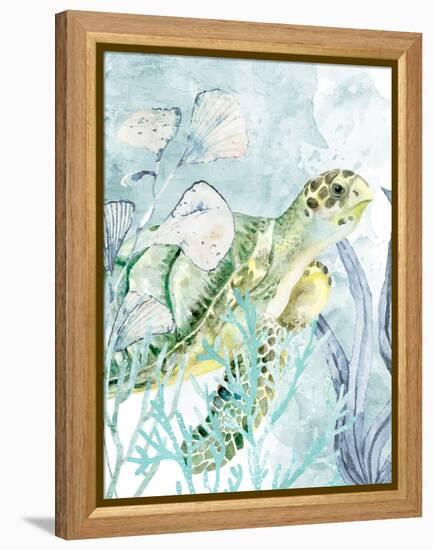 Sea Turtle-Kimberly Allen-Framed Stretched Canvas
