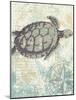 Sea Turtles I-Piper Ballantyne-Mounted Art Print