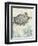 Sea Turtles I-Piper Ballantyne-Framed Art Print