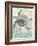 Sea Turtles II-Piper Ballantyne-Framed Art Print