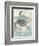 Sea Turtles II-Piper Ballantyne-Framed Premium Giclee Print