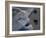 Sea Turtles to Sea, Maya Route, El Cuya, Mexico-Kenneth Garrett-Framed Photographic Print