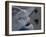 Sea Turtles to Sea, Maya Route, El Cuya, Mexico-Kenneth Garrett-Framed Photographic Print