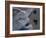 Sea Turtles to Sea, Maya Route, El Cuya, Mexico-Kenneth Garrett-Framed Photographic Print