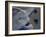 Sea Turtles to Sea, Maya Route, El Cuya, Mexico-Kenneth Garrett-Framed Photographic Print