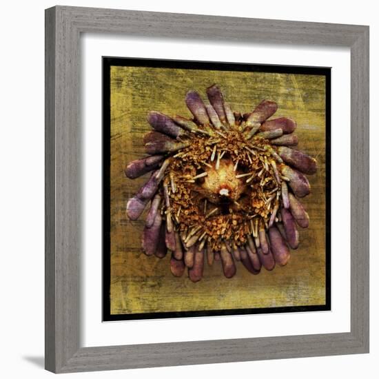 Sea Urchin 2-John W Golden-Framed Giclee Print