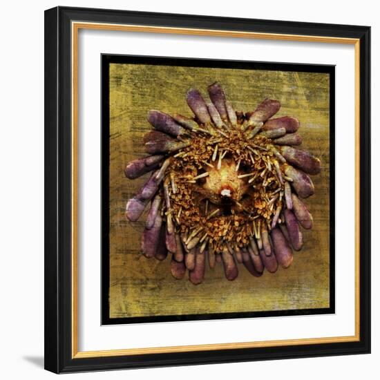 Sea Urchin 2-John W Golden-Framed Giclee Print