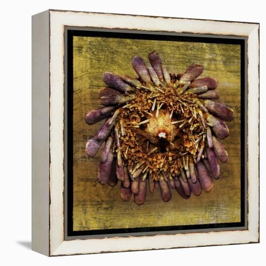 Sea Urchin 2-John W Golden-Framed Premier Image Canvas