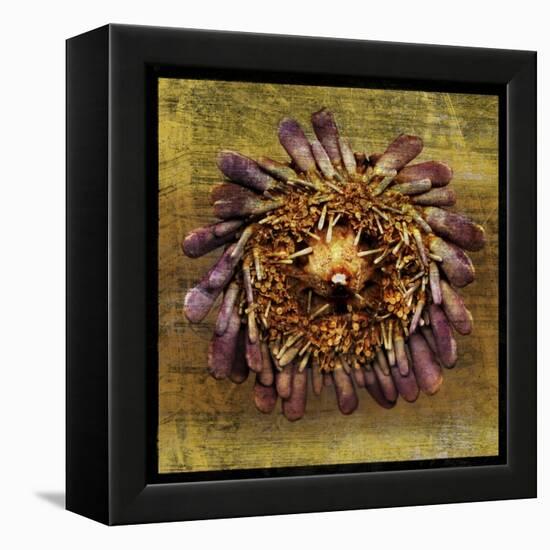 Sea Urchin 2-John W Golden-Framed Premier Image Canvas