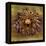 Sea Urchin 2-John W Golden-Framed Premier Image Canvas