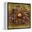 Sea Urchin 2-John W Golden-Framed Premier Image Canvas