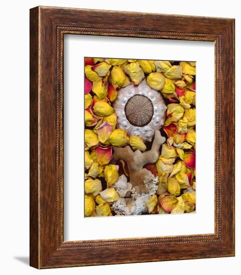 Sea Urchin rose Petals-null-Framed Art Print