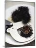 Sea Urchin with Scissors-null-Mounted Photographic Print