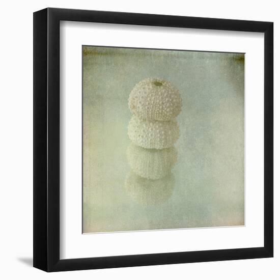 Sea Urchin-Judy Stalus-Framed Art Print