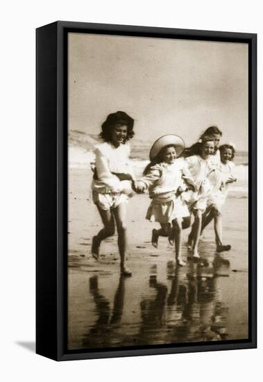 Sea Urchins-English Photographer-Framed Premier Image Canvas