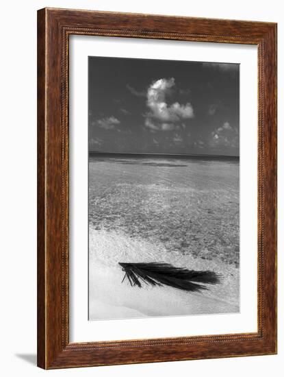 Sea View-null-Framed Photographic Print