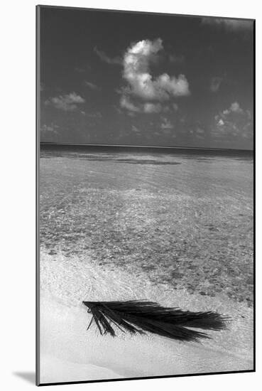 Sea View-null-Mounted Photographic Print