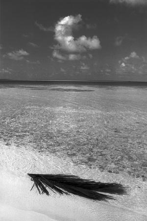 Black & White Beach Photography: Prints & Wall Art | Art.com