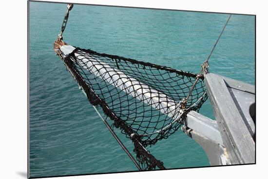 Sea, Water, Fishing Boat, Net-Catharina Lux-Mounted Photographic Print