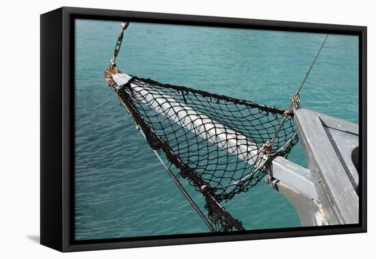 Sea, Water, Fishing Boat, Net-Catharina Lux-Framed Premier Image Canvas