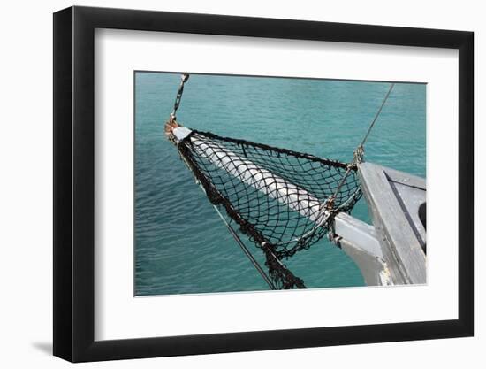 Sea, Water, Fishing Boat, Net-Catharina Lux-Framed Photographic Print