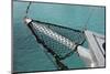 Sea, Water, Fishing Boat, Net-Catharina Lux-Mounted Photographic Print