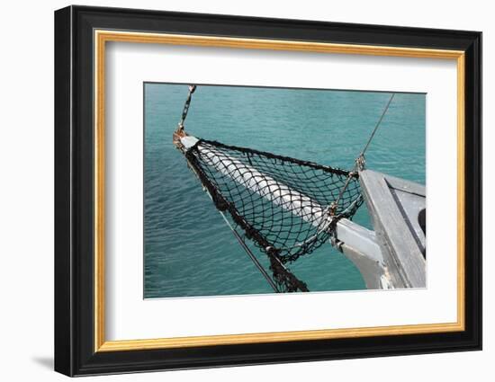 Sea, Water, Fishing Boat, Net-Catharina Lux-Framed Photographic Print