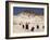 Sea Weed Pods on the Beach at Martha's Vineyard-Alfred Eisenstaedt-Framed Photographic Print