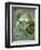 Sea Witch-Wayne Anderson-Framed Giclee Print