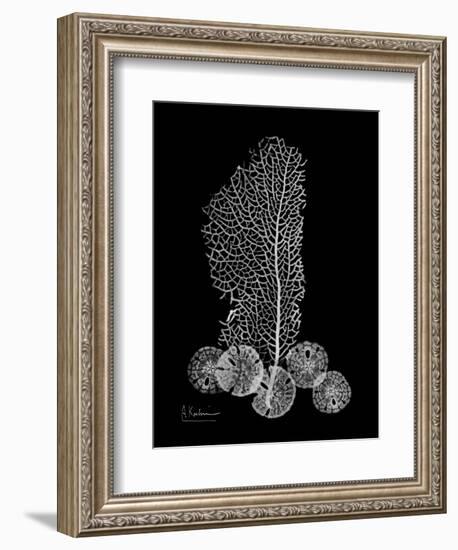 Sea Xray-Albert Koetsier-Framed Art Print