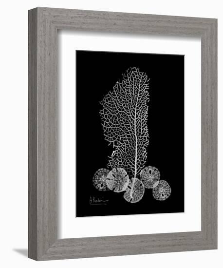 Sea Xray-Albert Koetsier-Framed Art Print