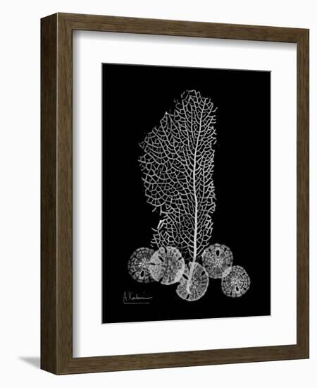 Sea Xray-Albert Koetsier-Framed Art Print