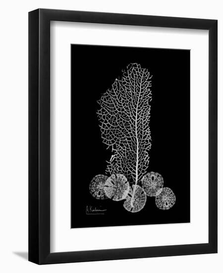 Sea Xray-Albert Koetsier-Framed Art Print