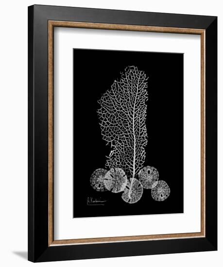 Sea Xray-Albert Koetsier-Framed Art Print