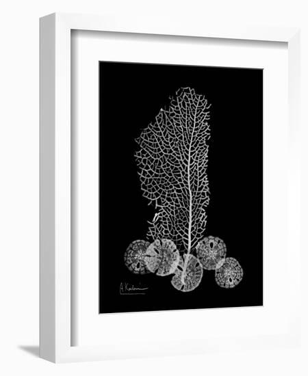 Sea Xray-Albert Koetsier-Framed Art Print