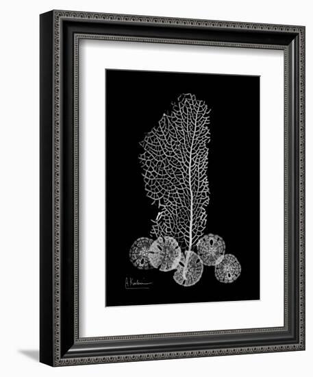 Sea Xray-Albert Koetsier-Framed Art Print