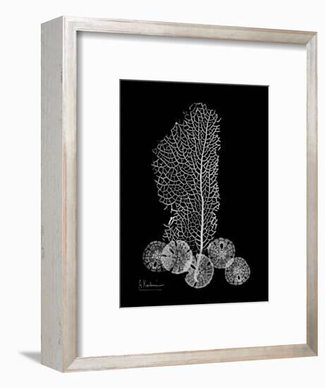 Sea Xray-Albert Koetsier-Framed Premium Giclee Print